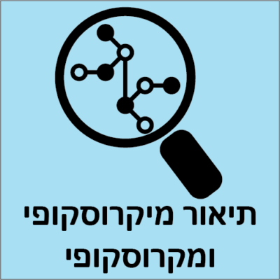 תיאור מיקרוסקופי ומקרוסקופי