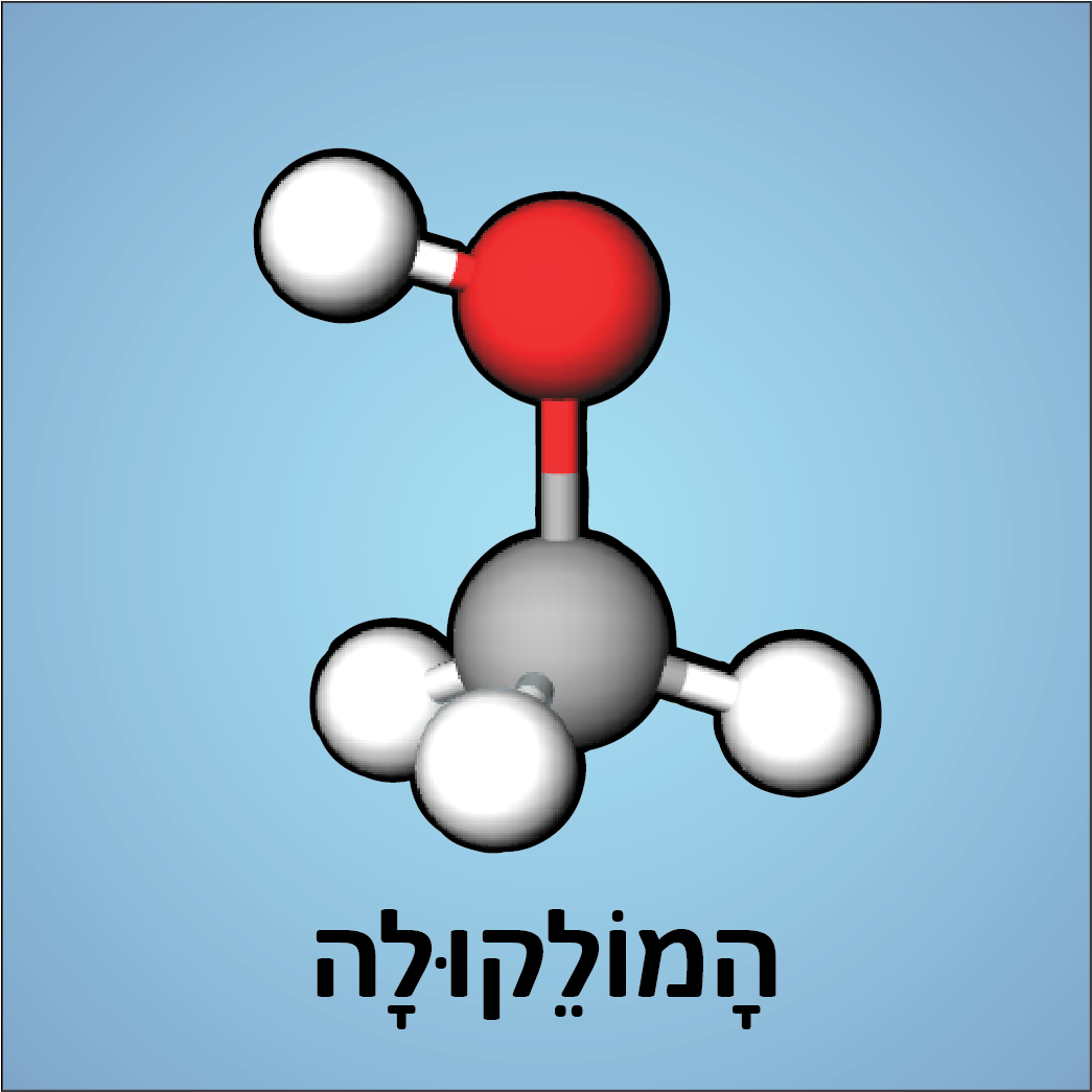 המולקולה
