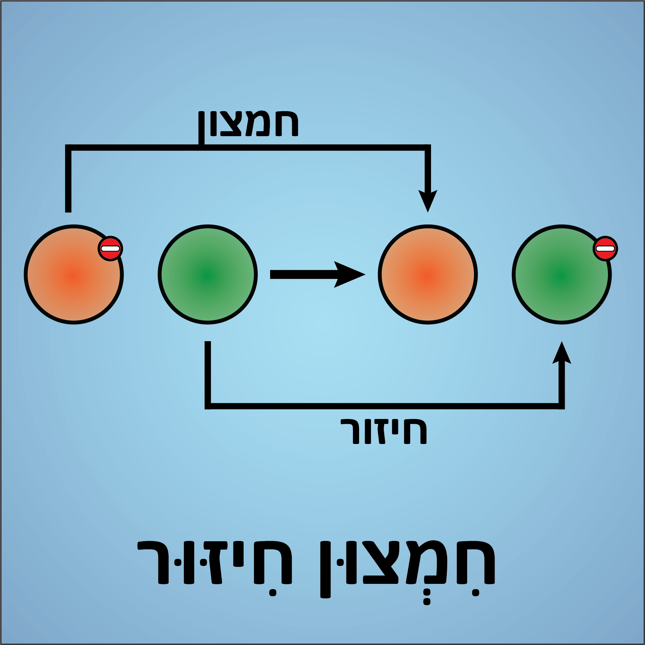 חמצון חיזור